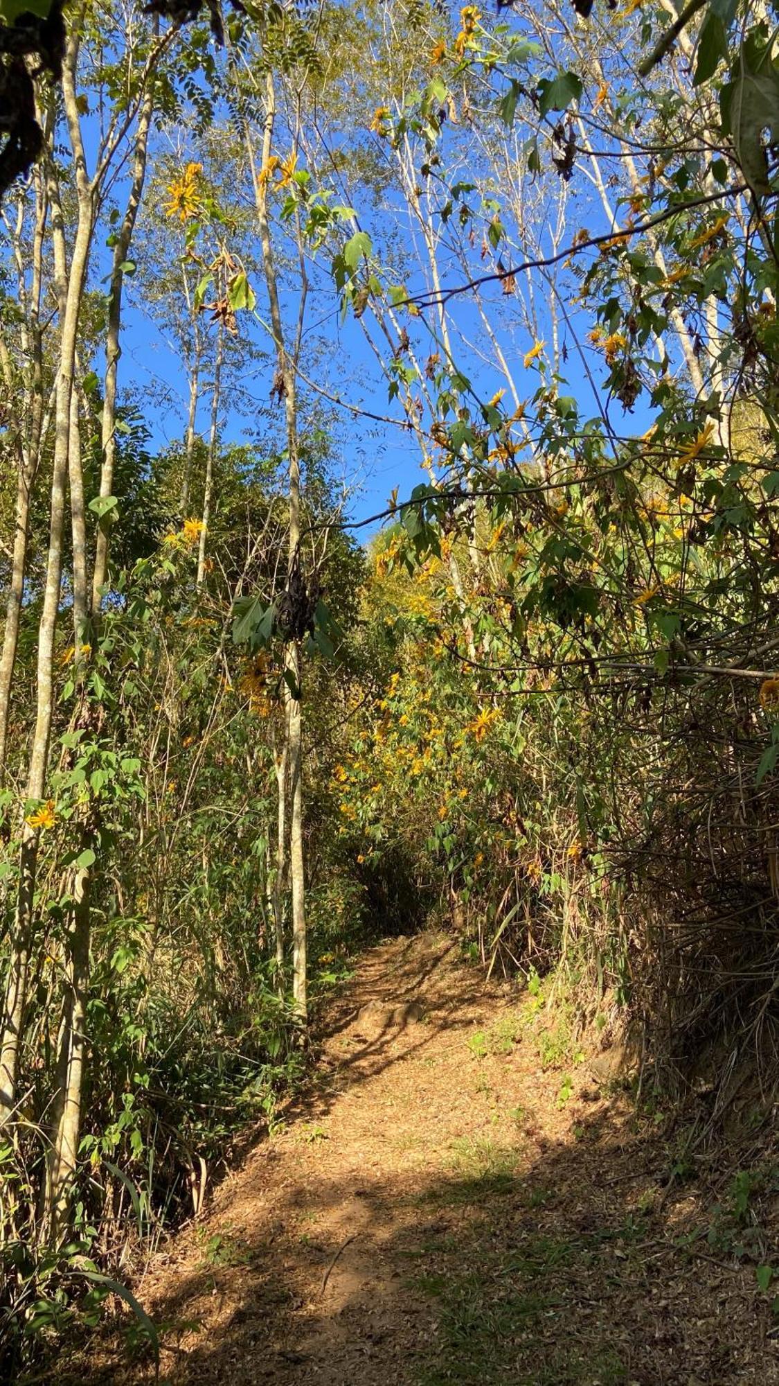 Posse  Chale Laranja - Sitio Caldeiraoヴィラ エクステリア 写真